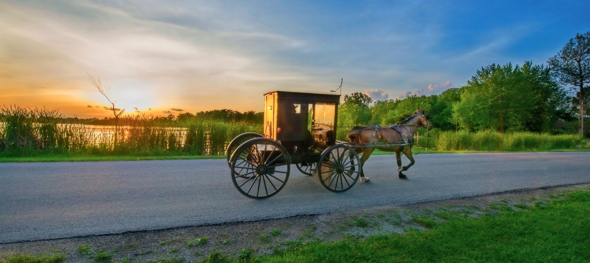 horse and buggy traveling on a country road at sunset near a lake