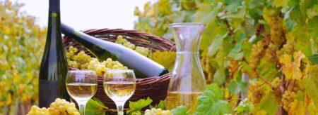 wine bottle, grapes, and glasses of white wine displayed on a wooden barrel in a vineyard